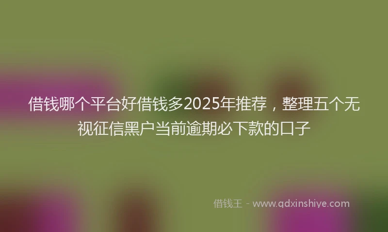 借钱哪个平台好借钱多2025年推荐，整理五个无视征信黑户当前逾期必下款的口子