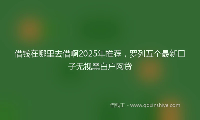 借钱在哪里去借啊2025年推荐，罗列五个最新口子无视黑白户网贷