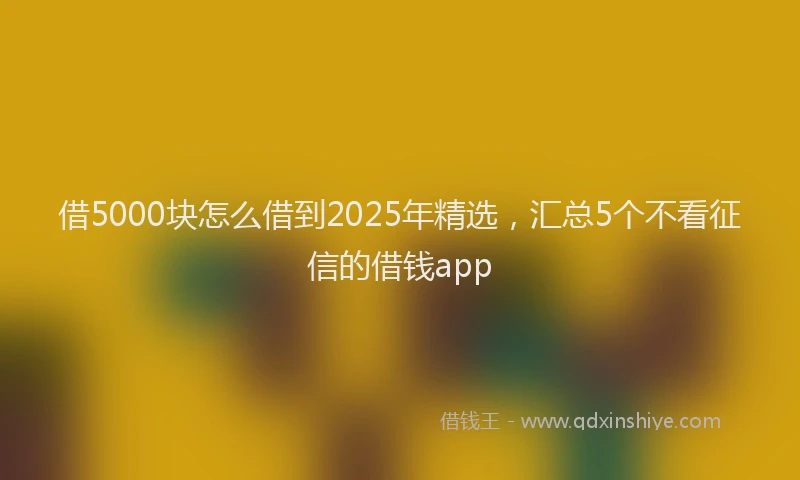 借5000块怎么借到2025年精选，汇总5个不看征信的借钱app