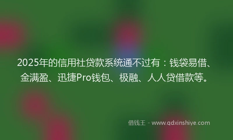 2025年的信用社贷款系统通不过有：钱袋易借、金满盈、迅捷Pro钱包、极融、人人贷借款等。