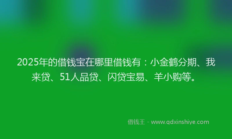 2025年的借钱宝在哪里借钱有：小金鹤分期、我来贷、51人品贷、闪贷宝易、羊小购等。