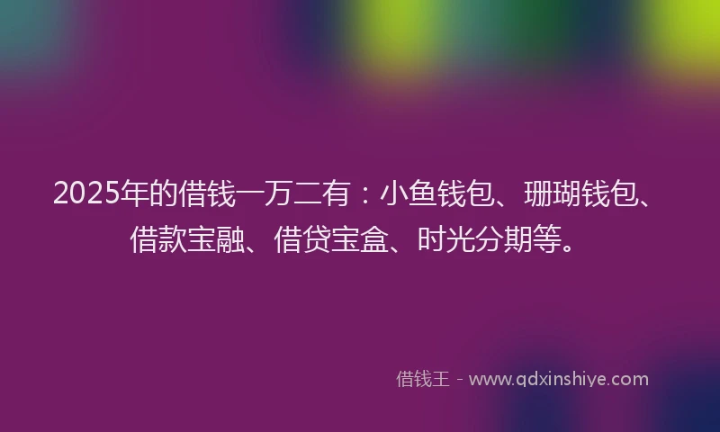 2025年的借钱一万二有：小鱼钱包、珊瑚钱包、借款宝融、借贷宝盒、时光分期等。