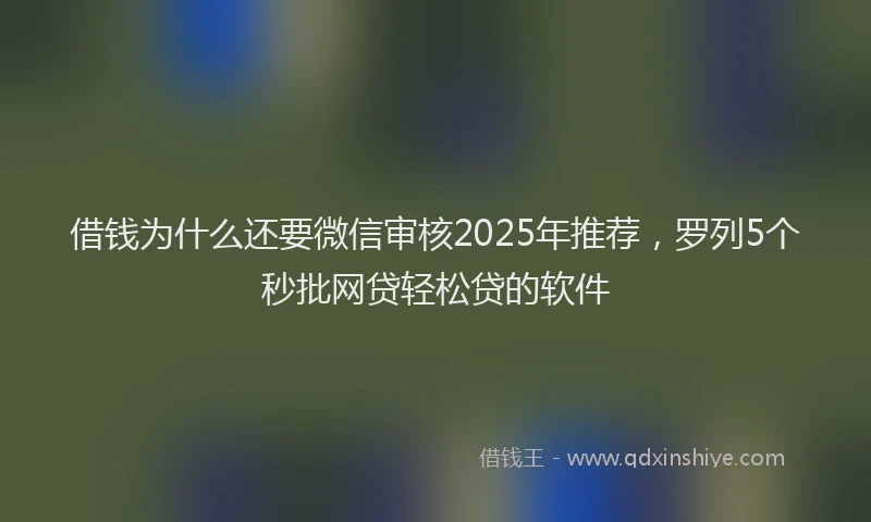 借钱为什么还要微信审核2025年推荐，罗列5个秒批网贷轻松贷的软件