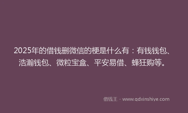 2025年的借钱删微信的梗是什么有：有钱钱包、浩瀚钱包、微粒宝盒、平安易借、蜂狂购等。