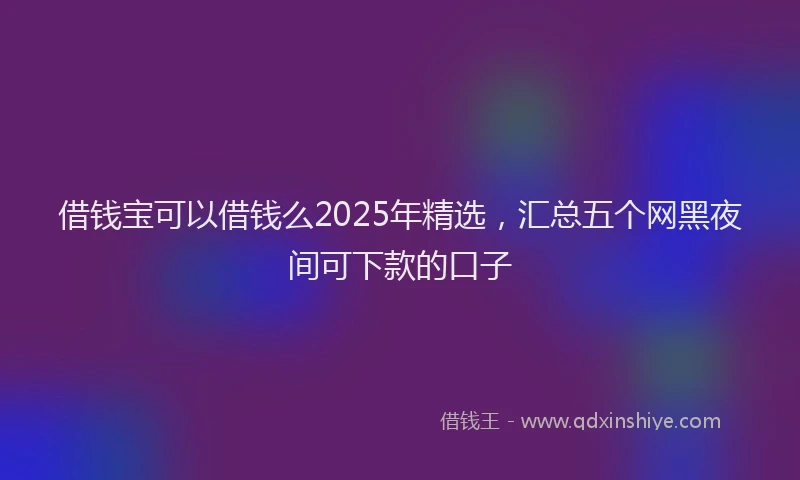 借钱宝可以借钱么2025年精选，汇总五个网黑夜间可下款的口子