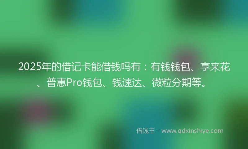 2025年的借记卡能借钱吗有：有钱钱包、享来花、普惠Pro钱包、钱速达、微粒分期等。