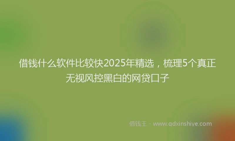 借钱什么软件比较快2025年精选,梳理5个真正无视风控黑白的网贷口子