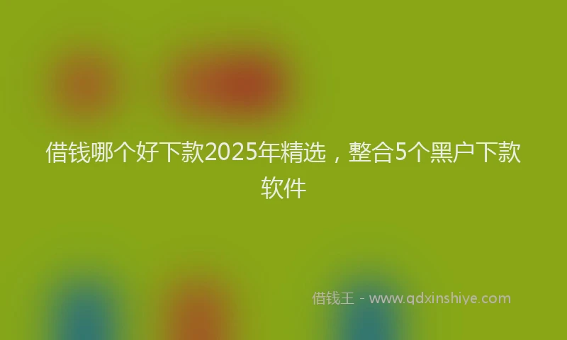 借钱哪个好下款2025年精选，整合5个黑户下款软件