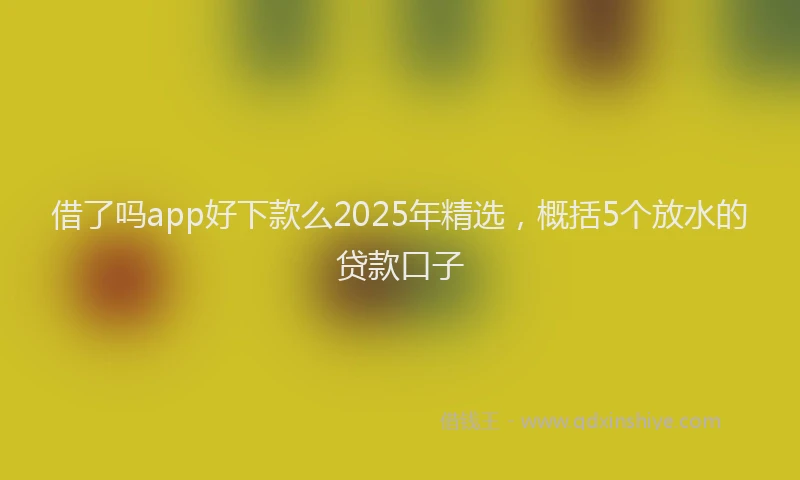 借了吗app好下款么2025年精选，概括5个放水的贷款口子