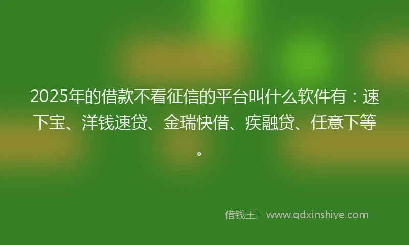 2025年的借款不看征信的平台叫什么软件有：速下宝、洋钱速贷、金瑞快借、疾融贷、任意下等。