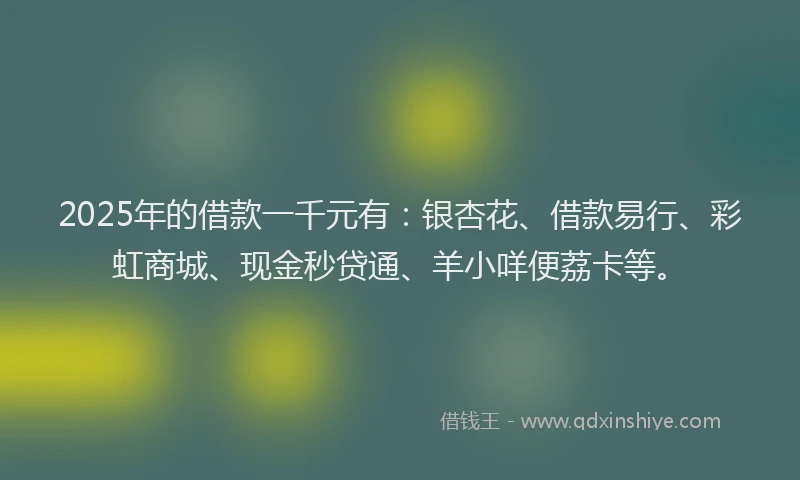 2025年的借款一千元有：银杏花、借款易行、彩虹商城、现金秒贷通、羊小咩便荔卡等。