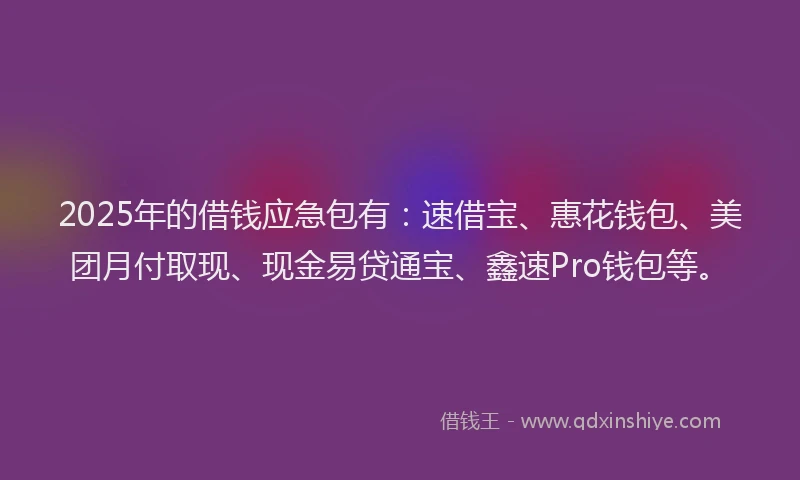 2025年的借钱应急包有：速借宝、惠花钱包、美团月付取现、现金易贷通宝、鑫速Pro钱包等。