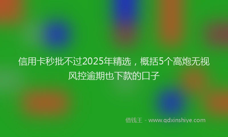 信用卡秒批不过2025年精选，概括5个高炮无视风控逾期也下款的口子