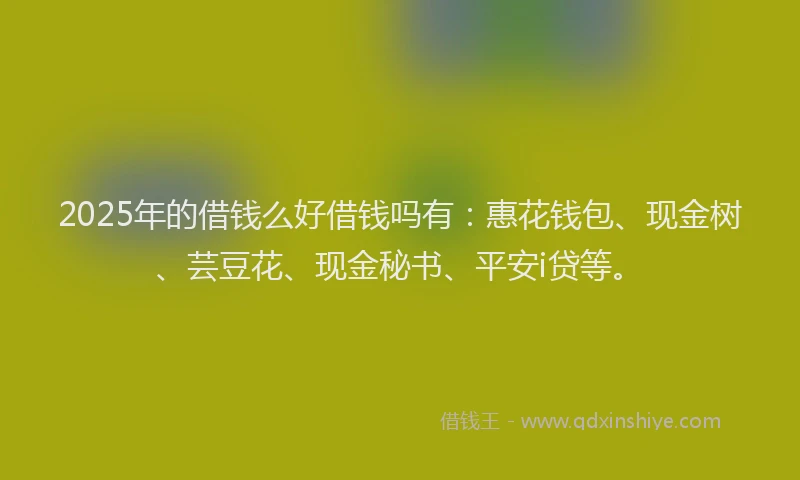2025年的借钱么好借钱吗有:惠花钱包、现金树、芸豆花、现金秘书、平安i贷等。