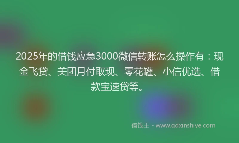 2025年的借钱应急3000微信转账怎么操作有：现金飞贷、美团月付取现、零花罐、小信优选、借款宝速贷等。