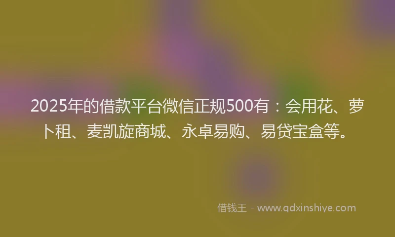 2025年的借款平台微信正规500有：会用花、萝卜租、麦凯旋商城、永卓易购、易贷宝盒等。