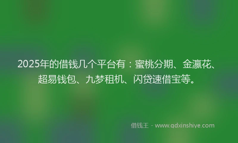 2025年的借钱几个平台有:蜜桃分期、金瀛花、超易钱包、九梦租机、闪贷速借宝等。