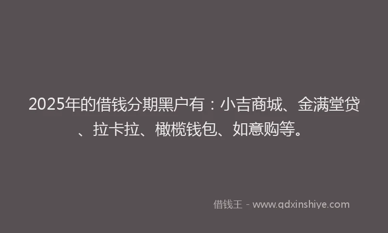 2025年的借钱分期黑户有：小吉商城、金满堂贷、拉卡拉、橄榄钱包、如意购等。