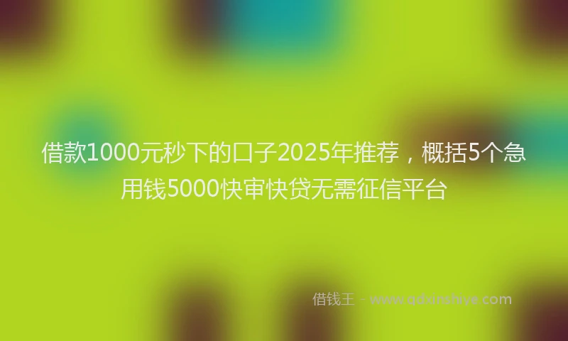借款1000元秒下的口子2025年推荐，概括5个急用钱5000快审快贷无需征信平台