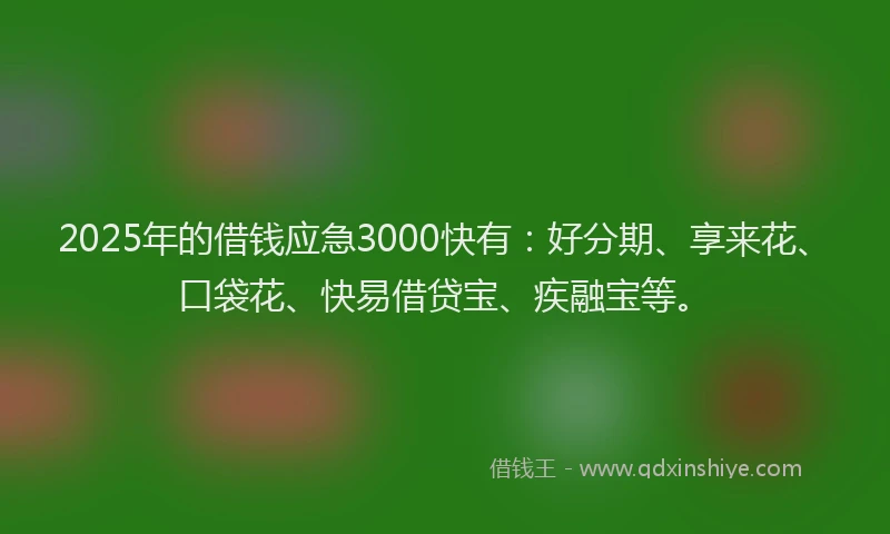 2025年的借钱应急3000快有：好分期、享来花、口袋花、快易借贷宝、疾融宝等。