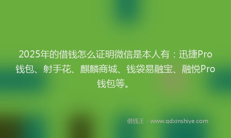 2025年的借钱怎么证明微信是本人有：迅捷Pro钱包、射手花、麒麟商城、钱袋易融宝、融悦Pro钱包等。