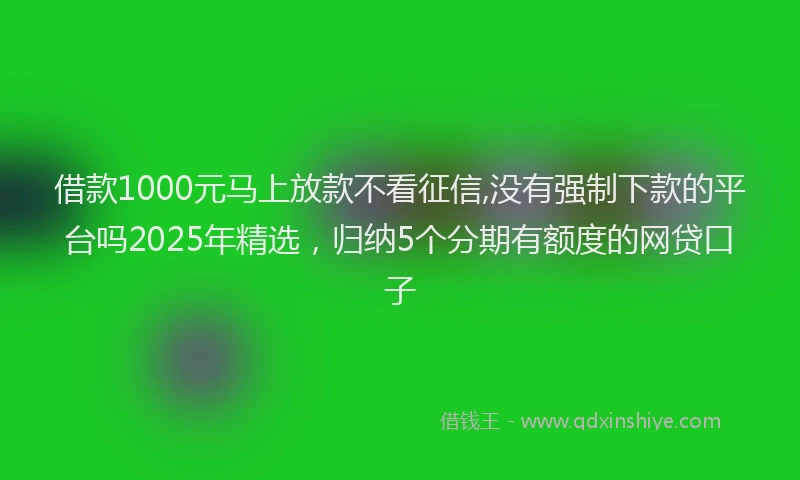 借款1000元马上放款不看征信,没有强制下款的平台吗2025年精选，归纳5个分期有额度的网贷口子