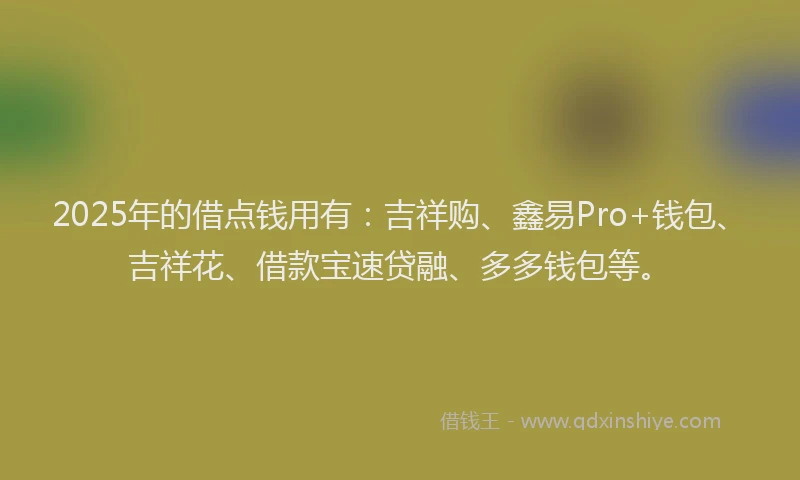 2025年的借点钱用有：吉祥购、鑫易Pro+钱包、吉祥花、借款宝速贷融、多多钱包等。