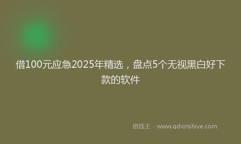 借100元应急2025年精选，盘点5个无视黑白好下款的软件