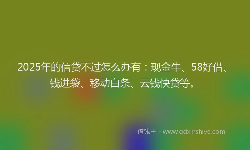 2025年的信贷不过怎么办有：现金牛、58好借、钱进袋、移动白条、云钱快贷等。