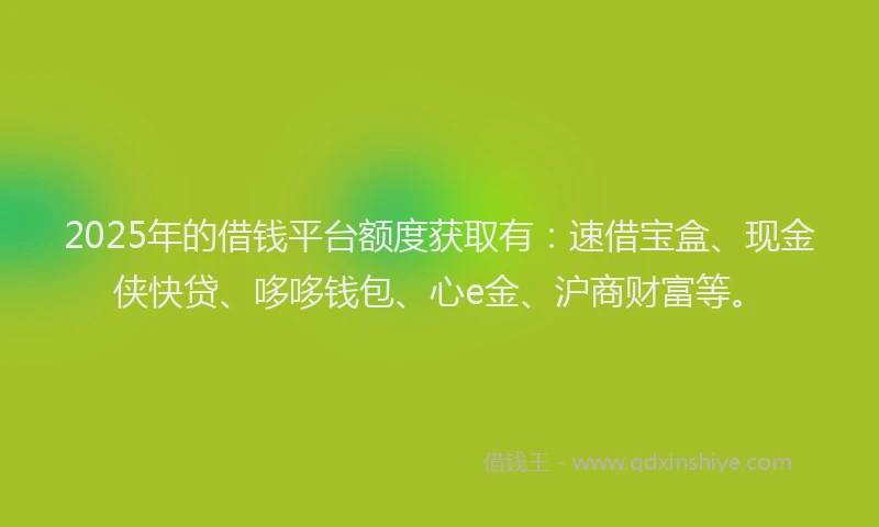 2025年的借钱平台额度获取有：速借宝盒、现金侠快贷、哆哆钱包、心e金、沪商财富等。