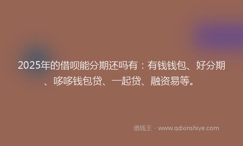 2025年的借呗能分期还吗有：有钱钱包、好分期、哆哆钱包贷、一起贷、融资易等。