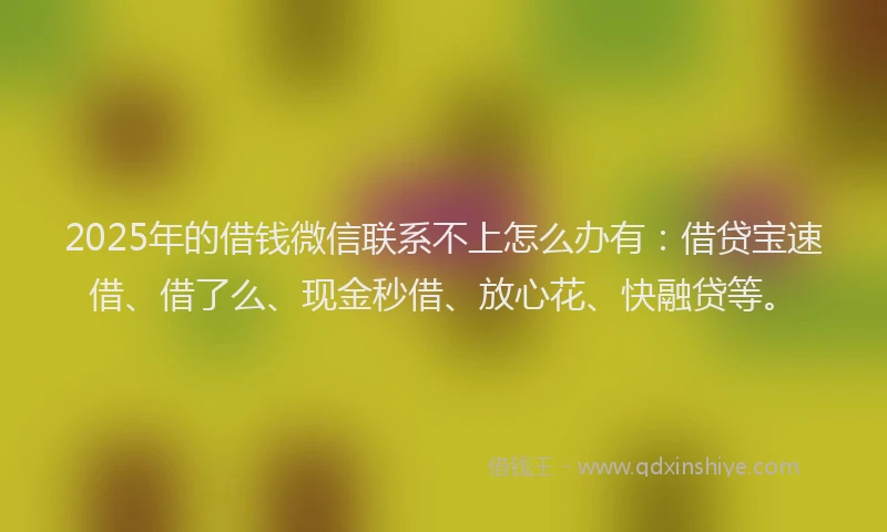 2025年的借钱微信联系不上怎么办有：借贷宝速借、借了么、现金秒借、放心花、快融贷等。