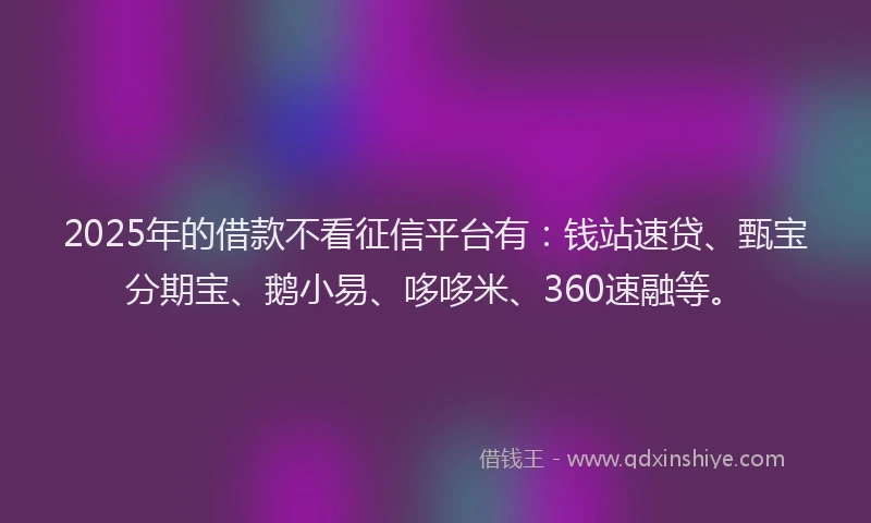 2025年的借款不看征信平台有：钱站速贷、甄宝分期宝、鹅小易、哆哆米、360速融等。