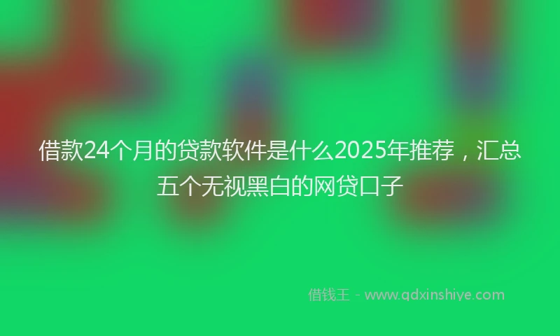 借款24个月的贷款软件是什么2025年推荐，汇总五个无视黑白的网贷口子