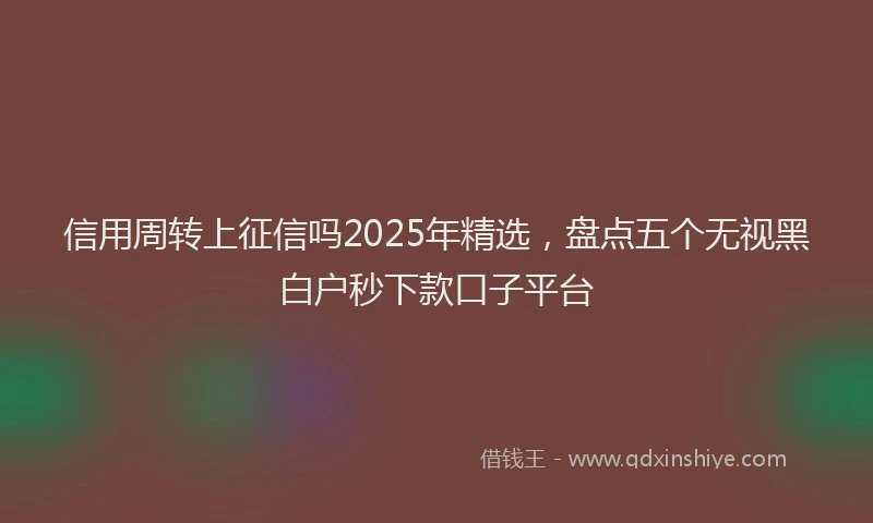 信用周转上征信吗2025年精选,盘点五个无视黑白户秒下款口子平台