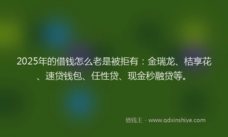 2025年的借钱怎么老是被拒有：金瑞龙、桔享花、速贷钱包、任性贷、现金秒融贷等。
