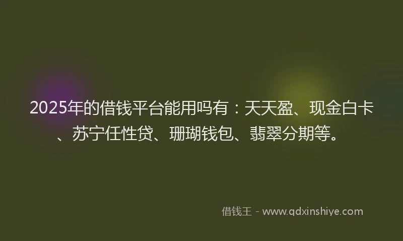 2025年的借钱平台能用吗有：天天盈、现金白卡、苏宁任性贷、珊瑚钱包、翡翠分期等。