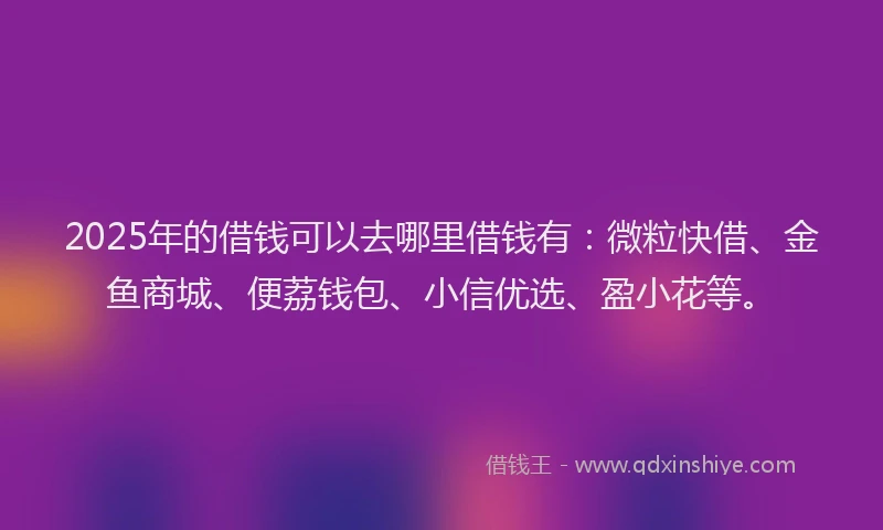 2025年的借钱可以去哪里借钱有：微粒快借、金鱼商城、便荔钱包、小信优选、盈小花等。