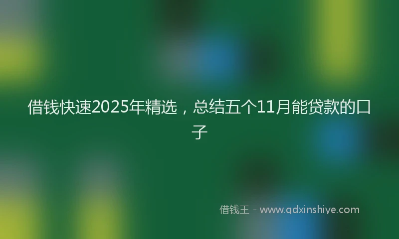 借钱快速2025年精选，总结五个11月能贷款的口子