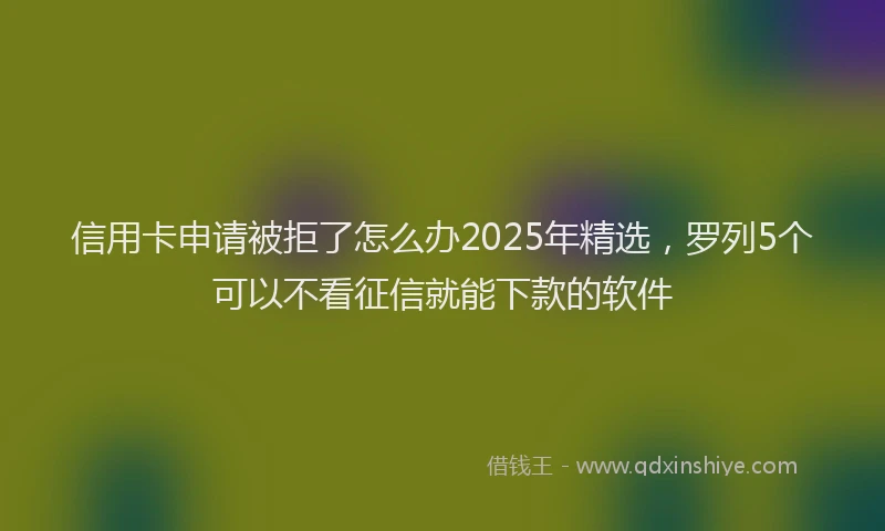 信用卡申请被拒了怎么办2025年精选，罗列5个可以不看征信就能下款的软件