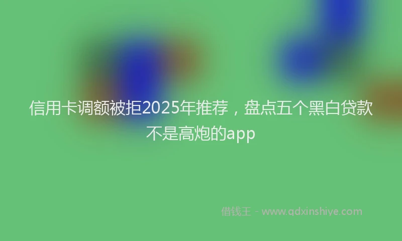 信用卡调额被拒2025年推荐，盘点五个黑白贷款不是高炮的app