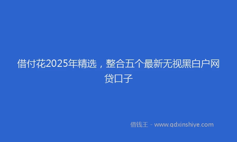 借付花2025年精选，整合五个最新无视黑白户网贷口子