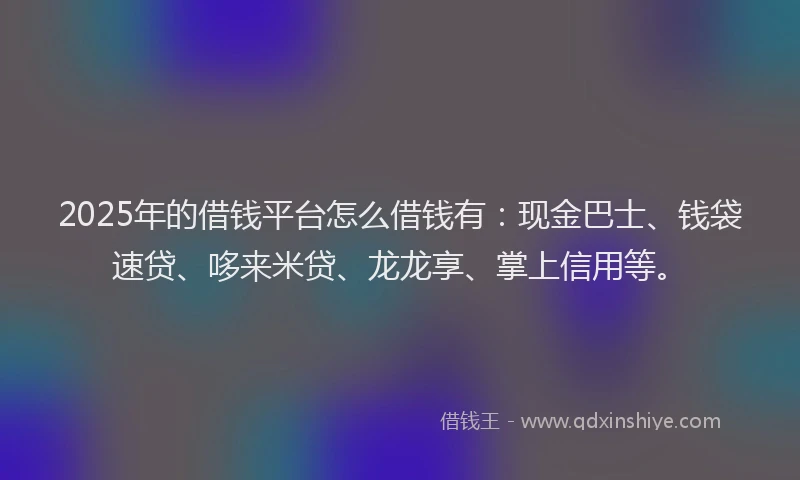 2025年的借钱平台怎么借钱有：现金巴士、钱袋速贷、哆来米贷、龙龙享、掌上信用等。