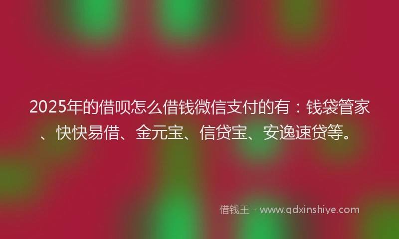 2025年的借呗怎么借钱微信支付的有：钱袋管家、快快易借、金元宝、信贷宝、安逸速贷等。