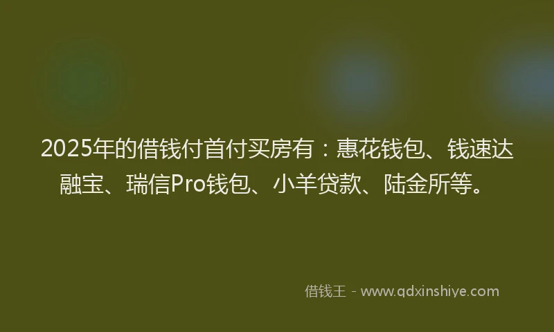 2025年的借钱付首付买房有：惠花钱包、钱速达融宝、瑞信Pro钱包、小羊贷款、陆金所等。