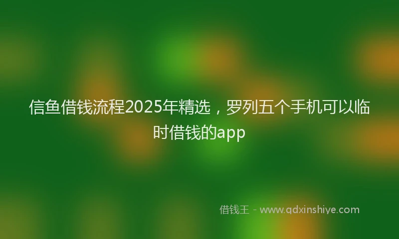 信鱼借钱流程2025年精选，罗列五个手机可以临时借钱的app