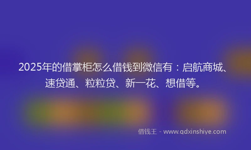 2025年的借掌柜怎么借钱到微信有：启航商城、速贷通、粒粒贷、新一花、想借等。