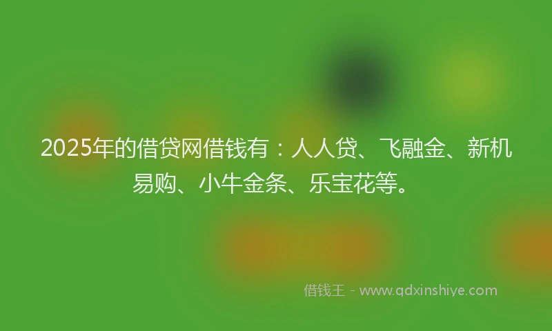 2025年的借贷网借钱有：人人贷、飞融金、新机易购、小牛金条、乐宝花等。