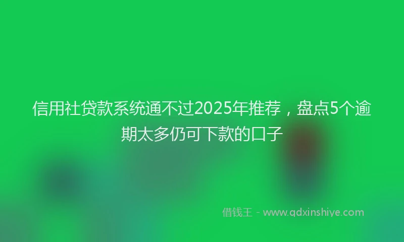 信用社贷款系统通不过2025年推荐，盘点5个逾期太多仍可下款的口子