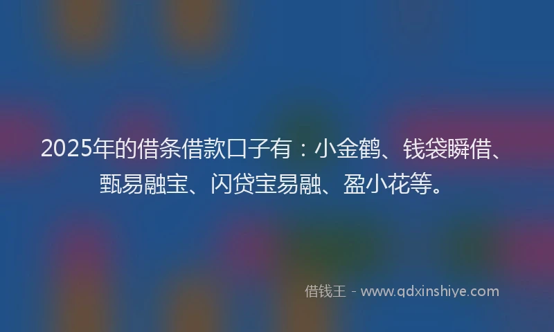 2025年的借条借款口子有:小金鹤、钱袋瞬借、甄易融宝、闪贷宝易融、盈小花等。